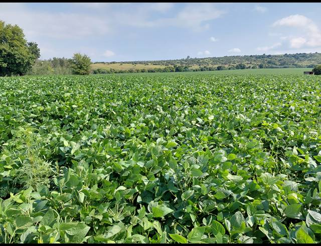 17HA FARM FOR SALE IN MIDDELBURG RURAL